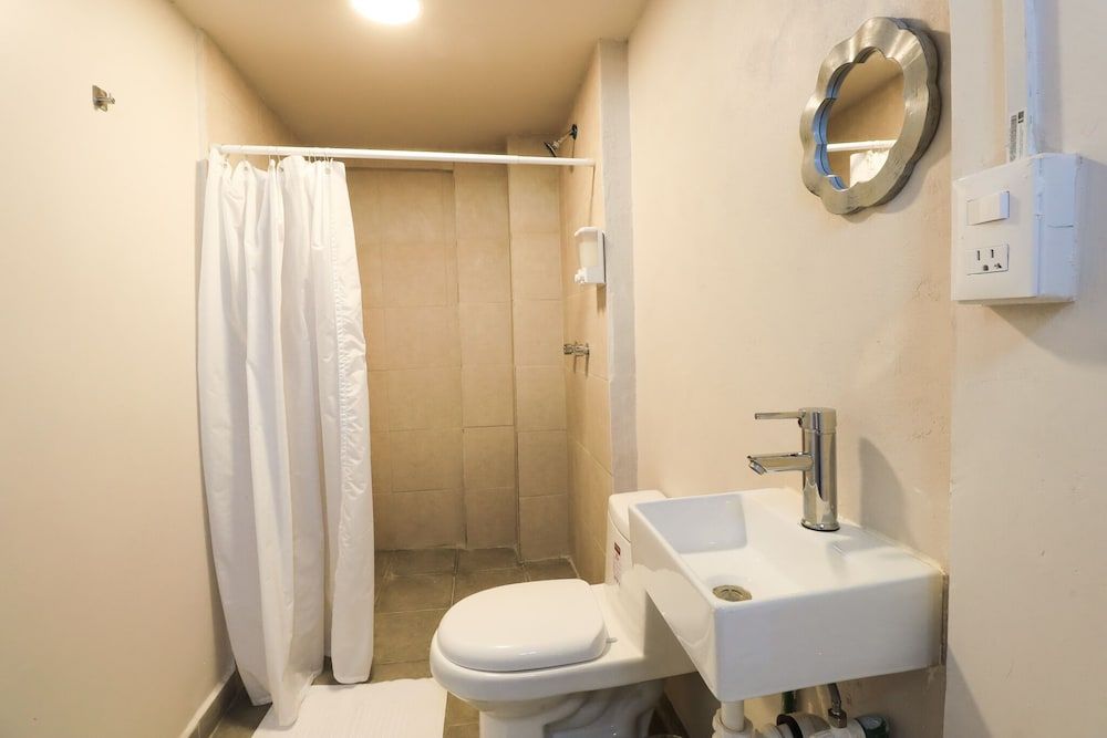 undefined Colmena Monterrey 8