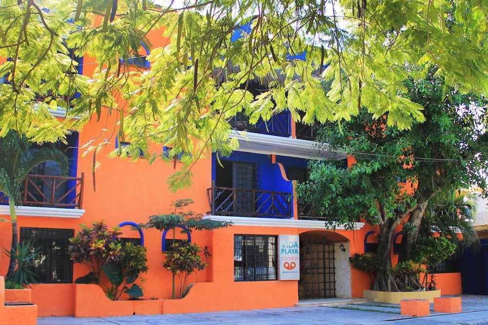 undefined Vida Playa Suites 3