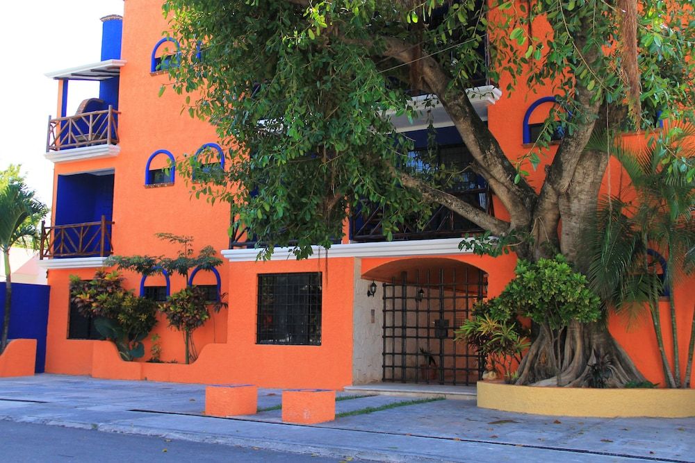 undefined Vida Playa Suites 5