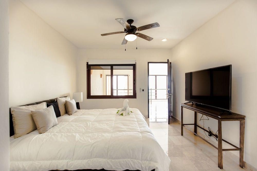 undefined El Faro 304 Coral 4