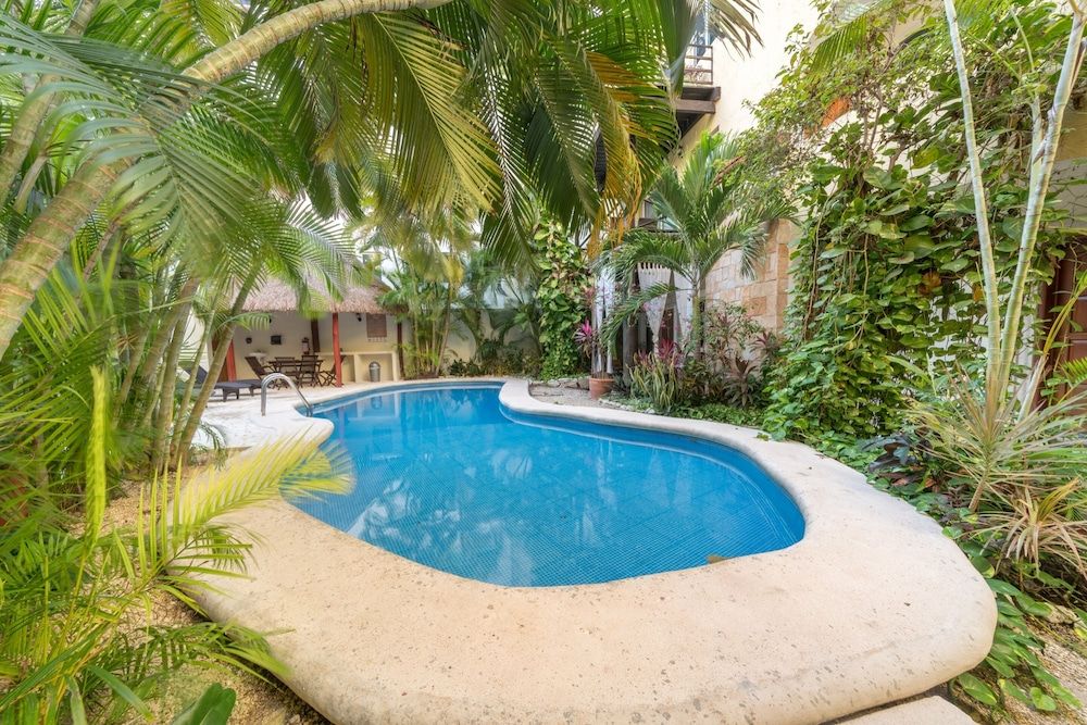 undefined Magic Paradise by NAS 3