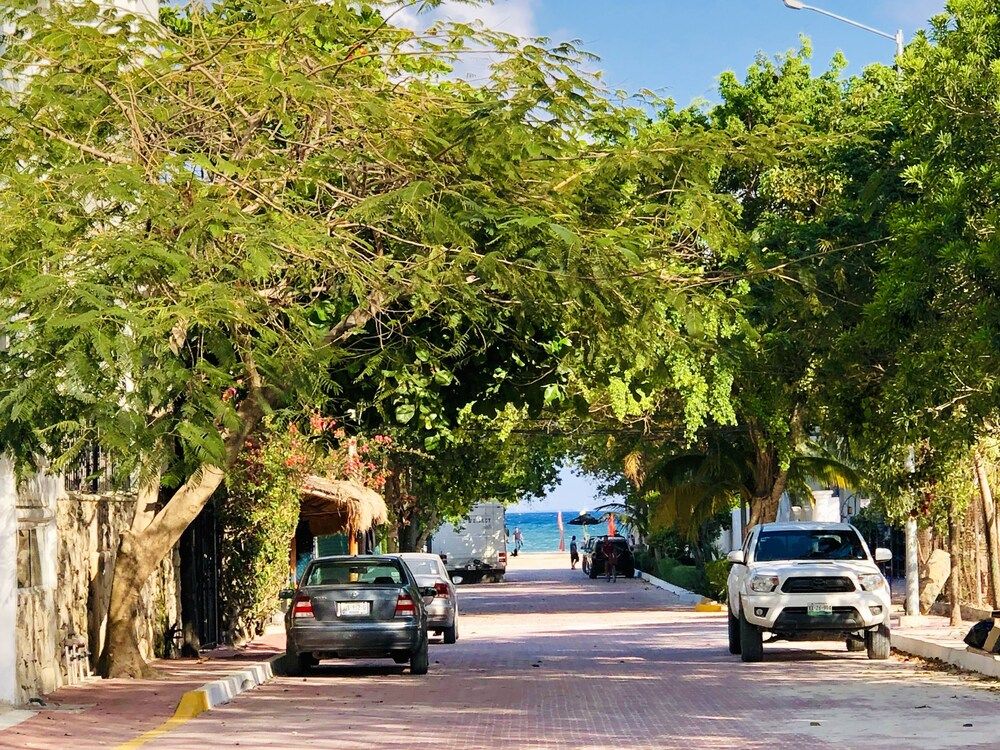 undefined MOB 205 by Riviera Rentals 3