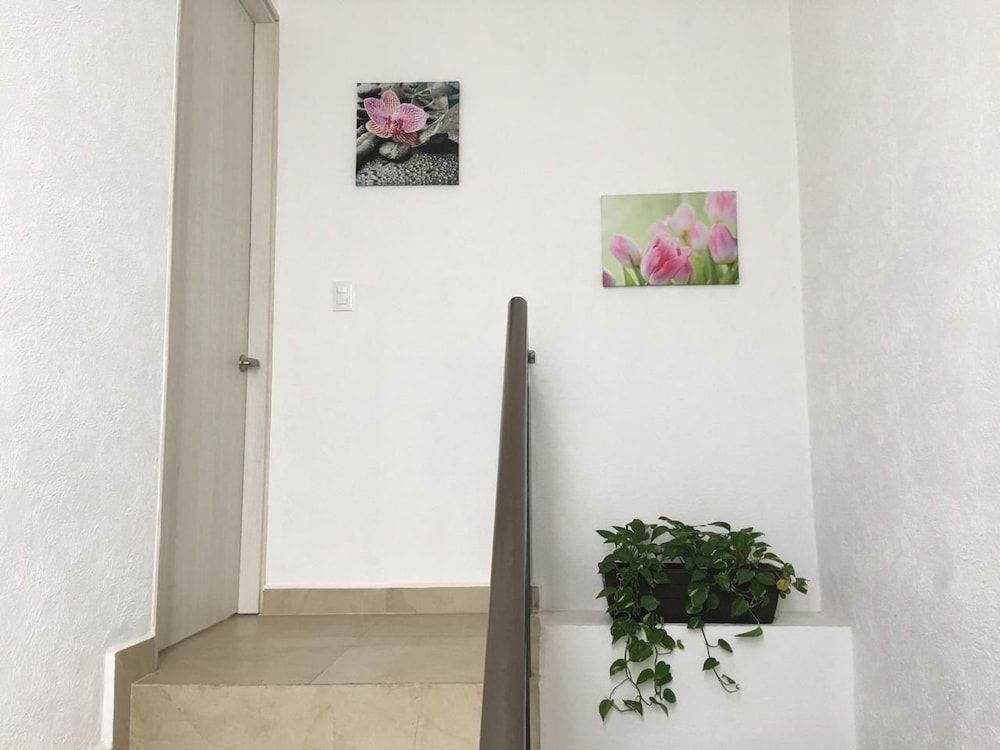 undefined Residencial Xola 10