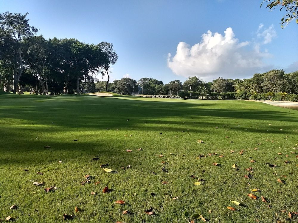 undefined Playacar Agua