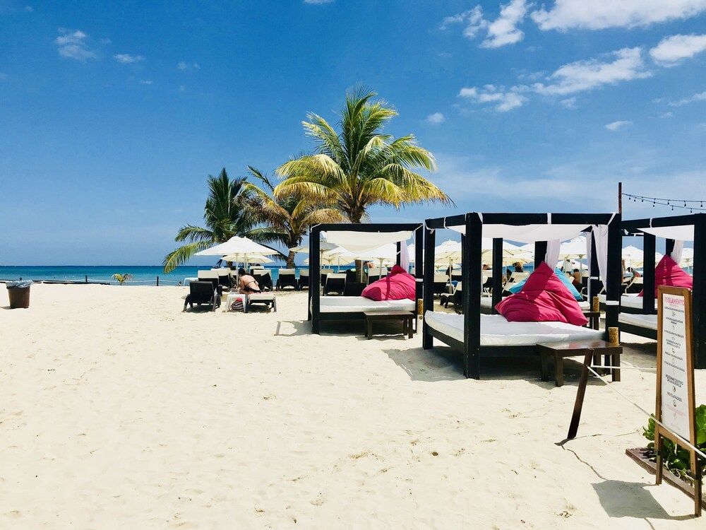 undefined Room in Condo - Condohotel 5th Avenue Basic Double Studio 3