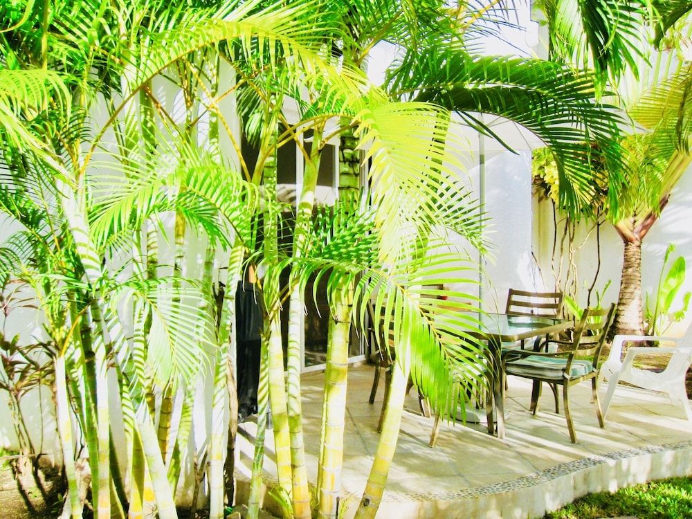 undefined Room-executive Basic Room With Swimming 4