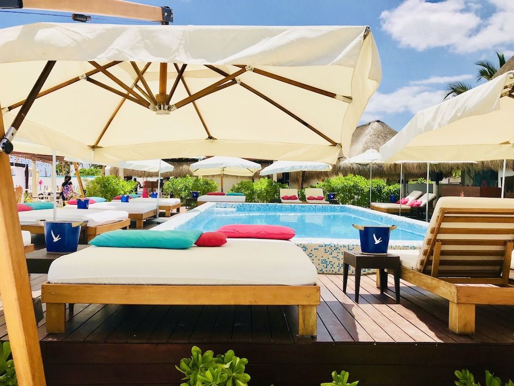 undefined Room in Condo - Condohotel 5th Avenue King Triple Studio