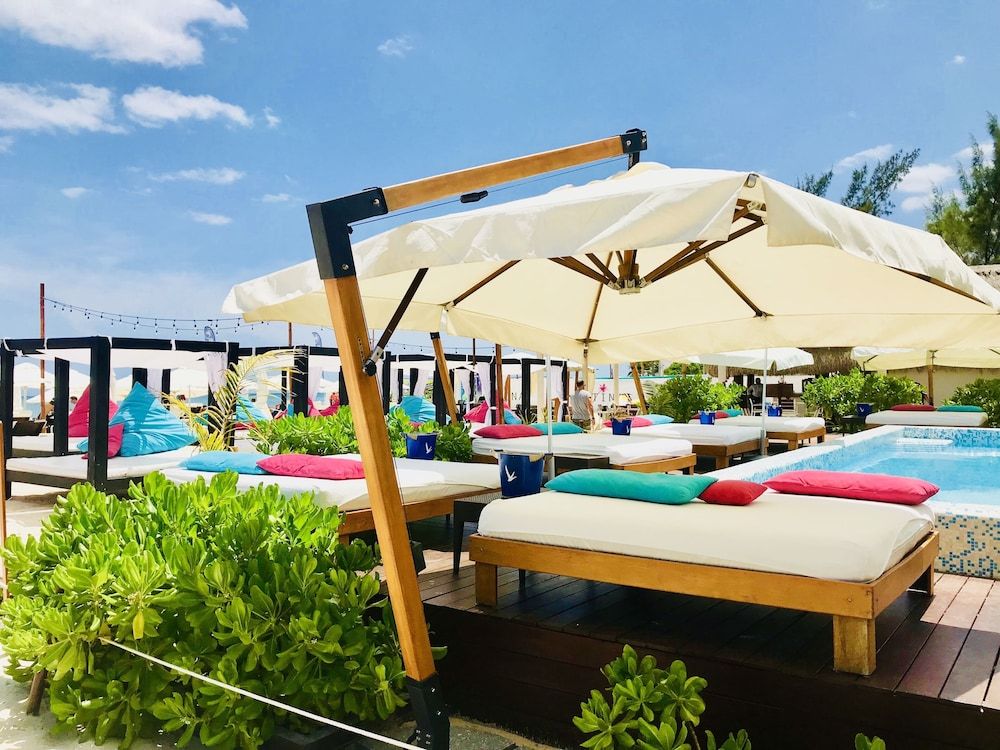 undefined Room in Condo - Condohotel 5th Avenue King Triple Studio 3