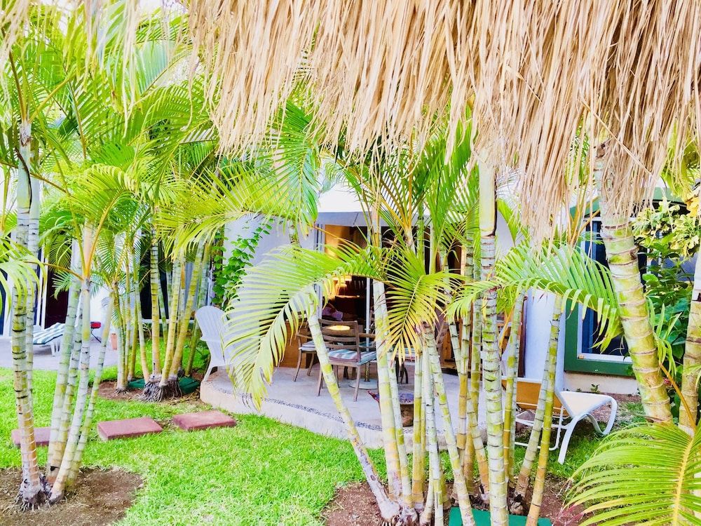 undefined Room-superior Comfort Room With Swimming 3