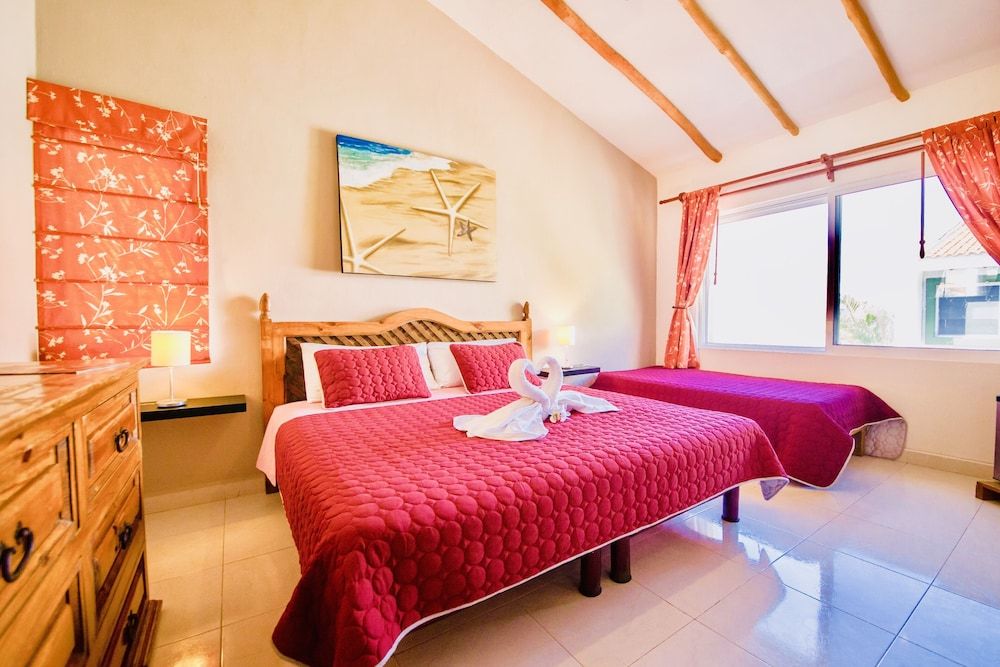 Room in B&B - Executive Comfort Room With Swimming Pool Air Conditioning and Parking Room, 1 Bedroom, Patio, Garden View 6