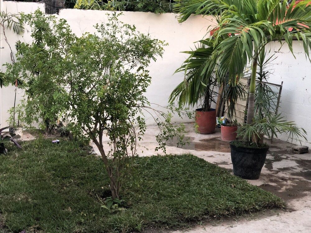 undefined Playa Del Carmen - Beautiful Studio 2 2