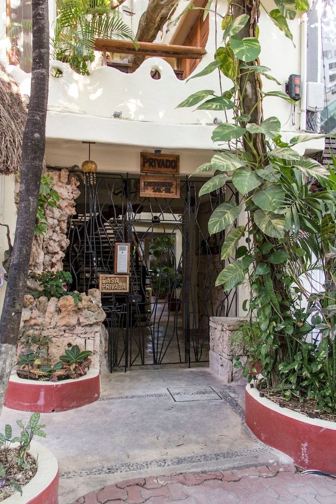 undefined One Bedroom Apt In The Heart Of Playa Only One Block to the Beach! 4