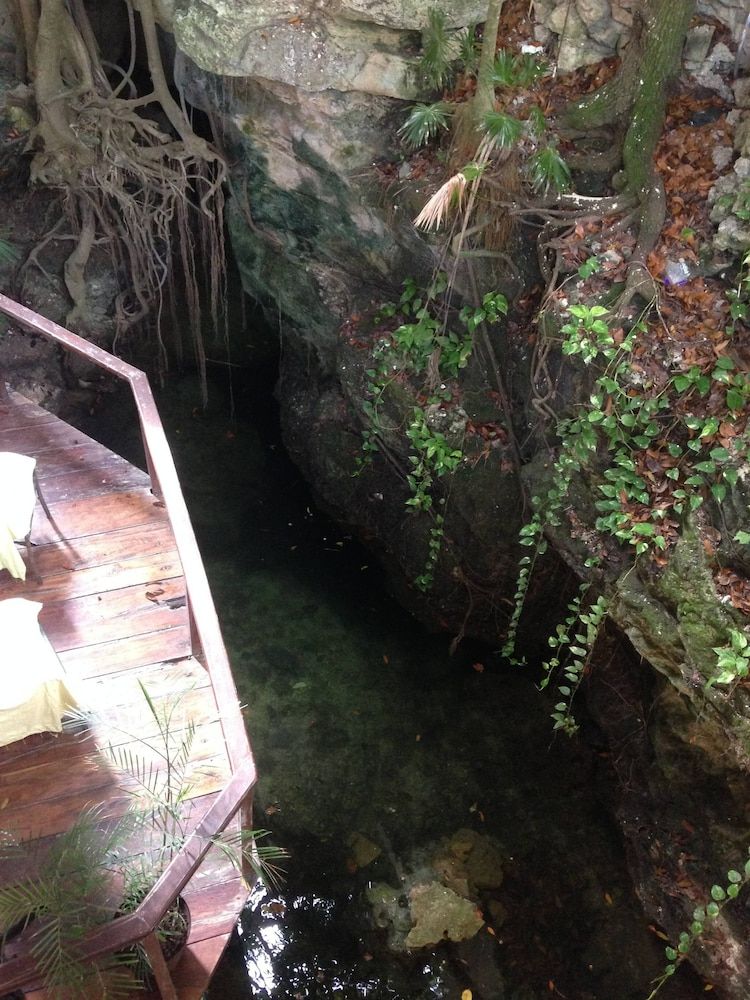 undefined One Bedroom Apt In The Heart Of Playa Only One Block to the Beach! 8