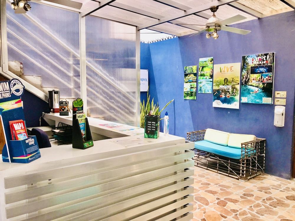 undefined Room in Condo - Condohotel 5th Avenue Basic Studio 4