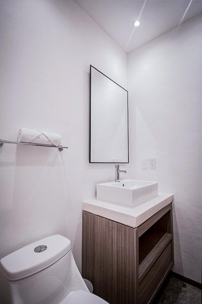 undefined Queen Studio PDC Oasis Pool Rooftop Lounge Walk to 5 Avenida Best Playa Beaches 8