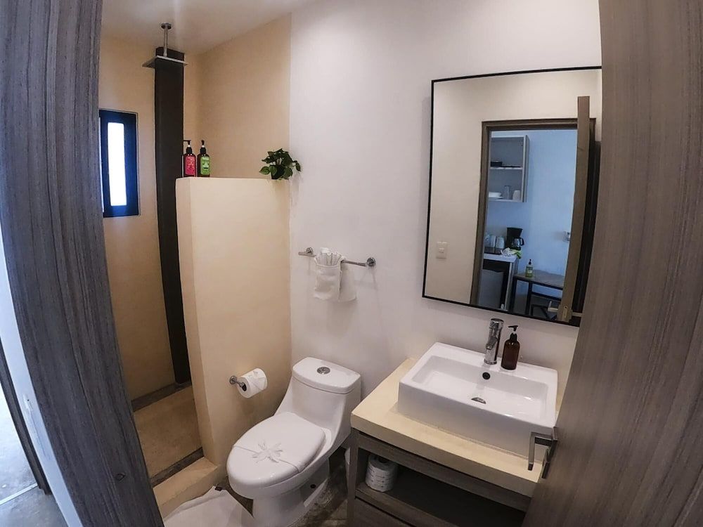 undefined Queen Studio PDC Oasis Pool Rooftop Lounge Walk to 5 Avenida Best Playa Beaches 3