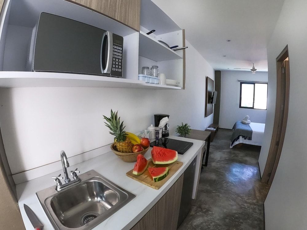 undefined Queen Studio PDC Oasis Pool Rooftop Lounge Walk to 5 Avenida Best Playa Beaches 3