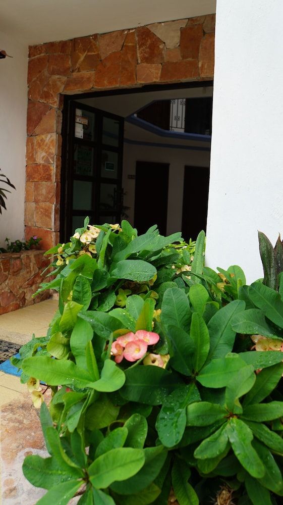 undefined Hotel Alux Playa del Carmen 3