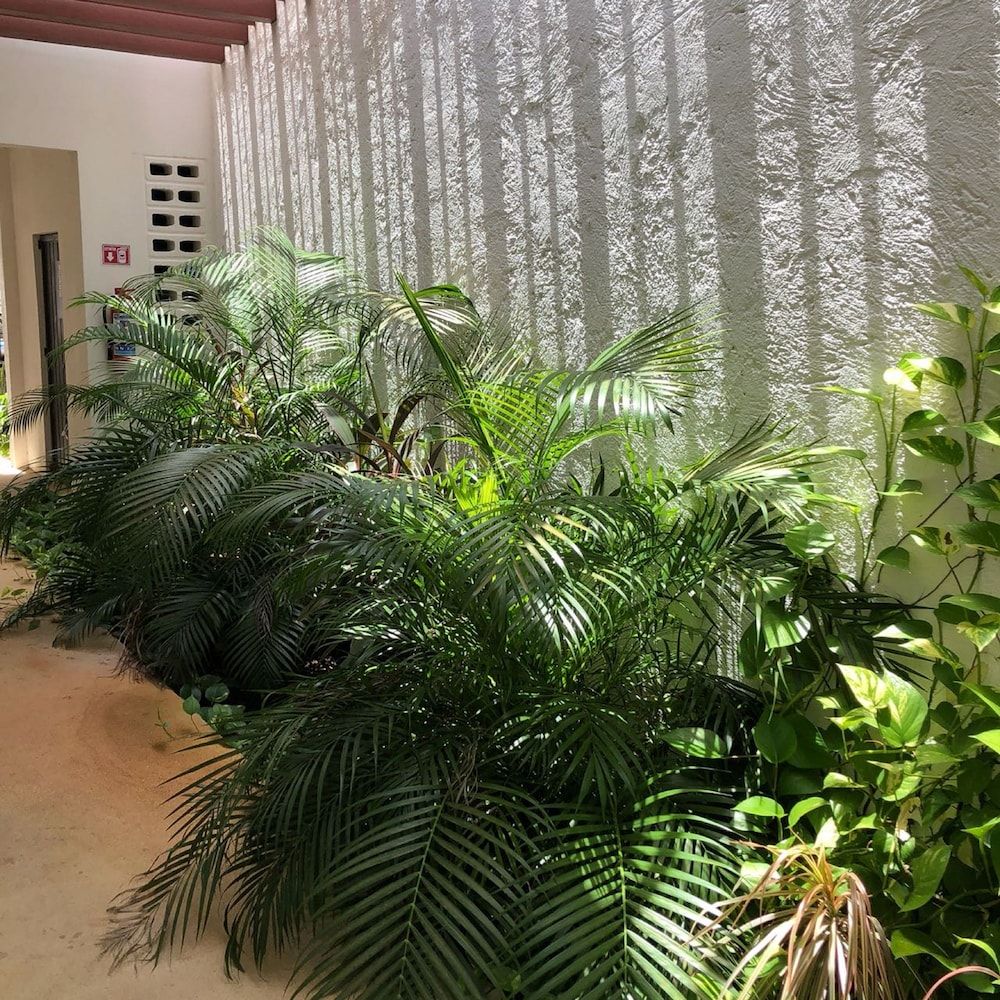 undefined Downtown Suites Cancun 5