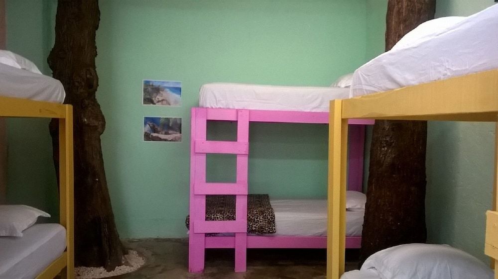 undefined Hostel Balagan 7