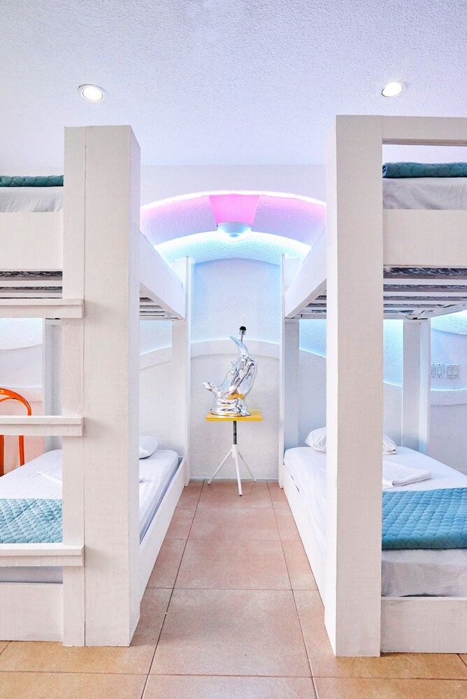 undefined Bango Mango Hostel 6