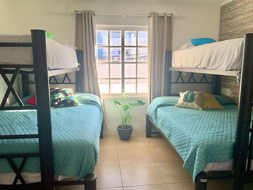 Bango Mango Hostel Shared Dormitory 5 Beds 2