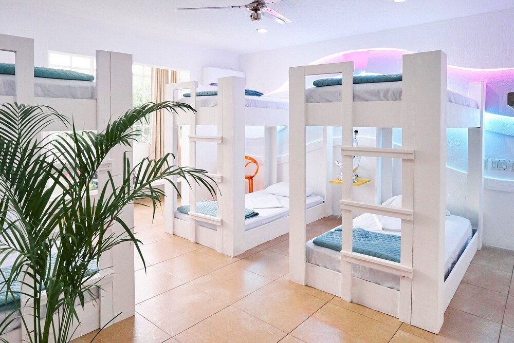 undefined Bango Mango Hostel 4