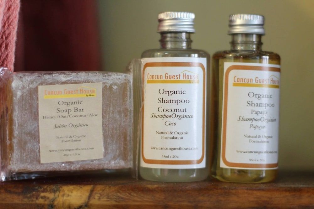 Room in B&B - Cancun Guest House 1 Room, 1 Bedroom, Patio 14