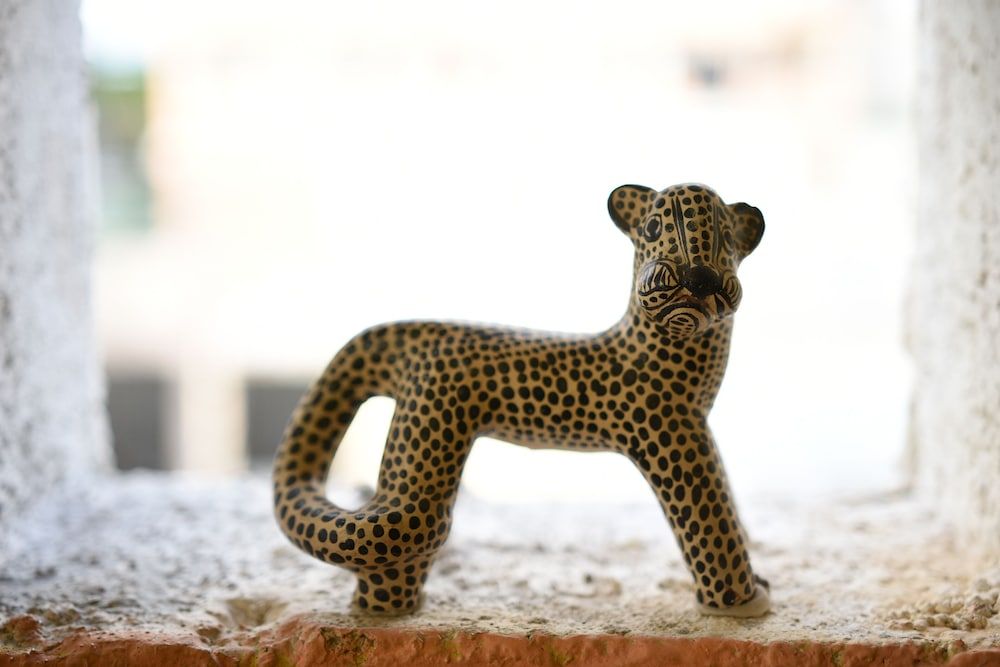 Room in B&B - Cancun Guest House 1 Room, 1 Bedroom, Patio 25