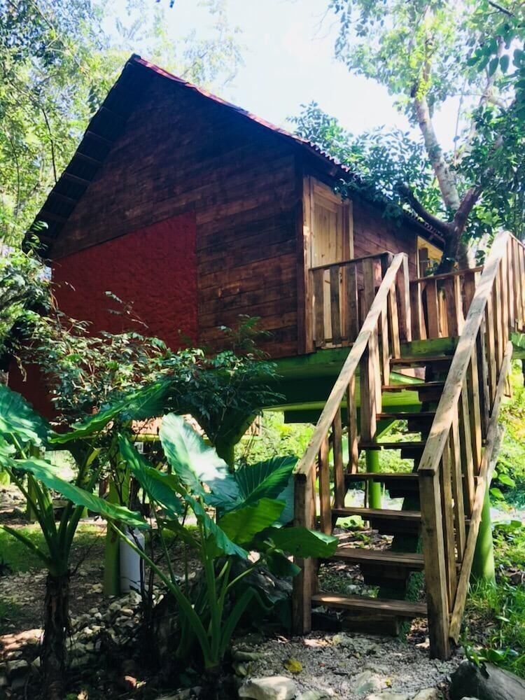 Family Tree House