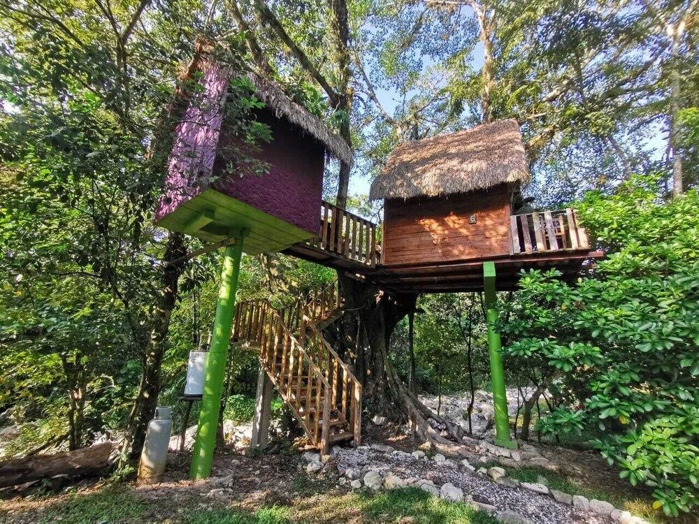 Basic Tree House
