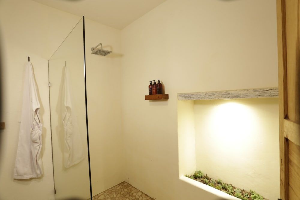 Orchid House San Miguel de Allende Coelia - Doble 2 Camas Queen 13