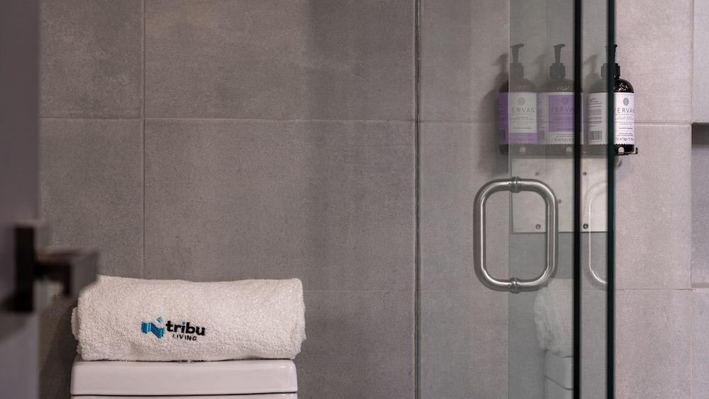 Tribu San Martín Chapultepec Comfort Apartment 8