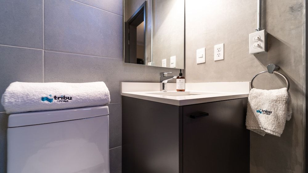 Tribu San Martín Chapultepec City Apartment 7