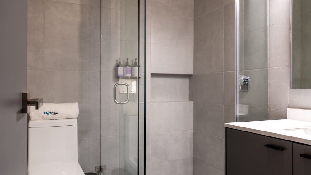 Tribu San Martín Chapultepec Comfort Apartment 9