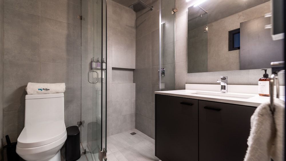 Tribu San Martín Chapultepec Comfort Apartment 6