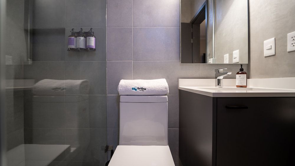 Tribu San Martín Chapultepec City Apartment 6