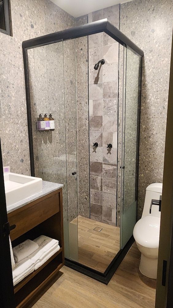 Expo Satelite 2750 Hotel & Suites Habitación Standard 7