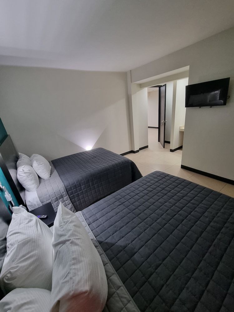 EMS Hoteles Centro Histórico Standard Double Room 8