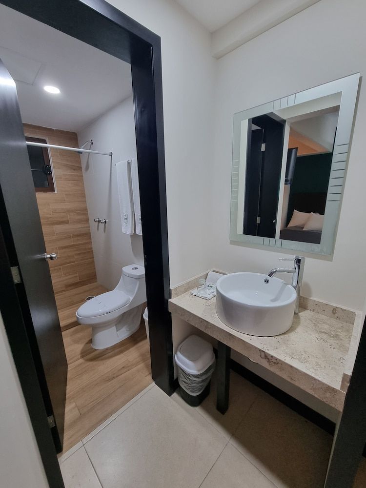 EMS Hoteles Centro Histórico Standard Double Room 12