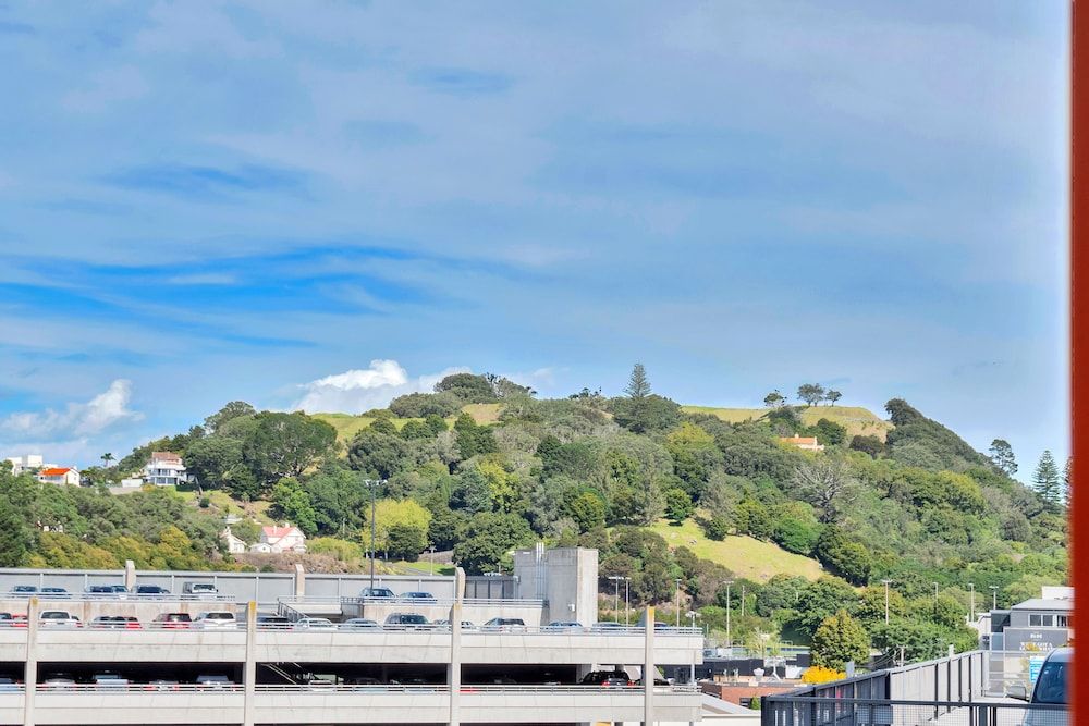 Spacious Mt Eden Apartment Apartment, 2 Bedrooms 17