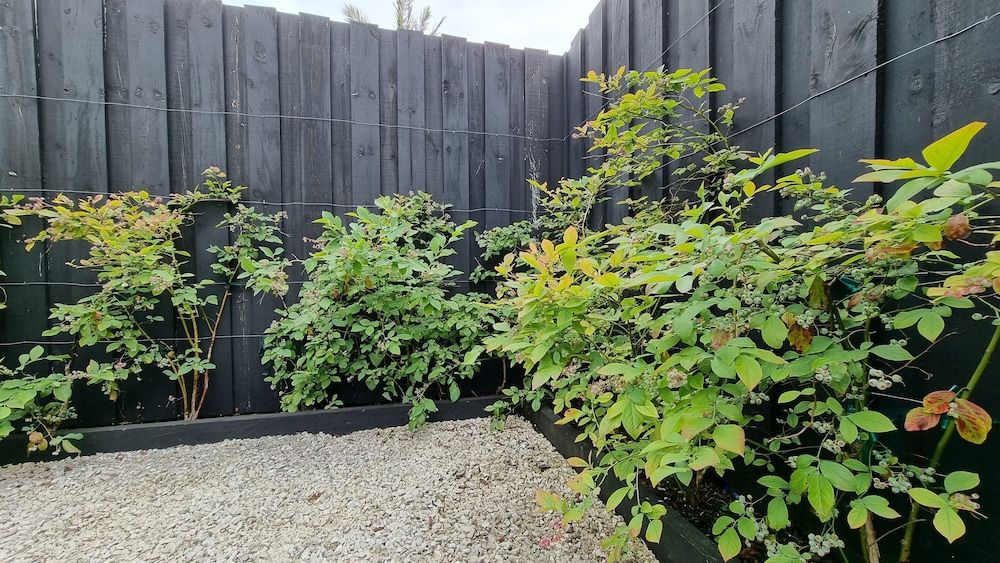 undefined Timeless Heritage Grey Lynn 2BR Beauty 3