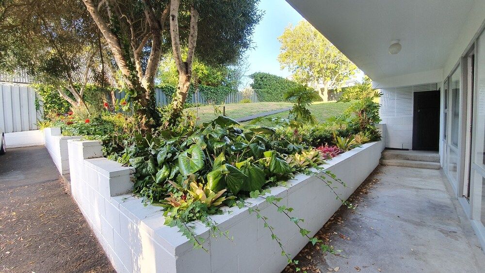 undefined Herne Bay Gem Near Beach - Carpark 3