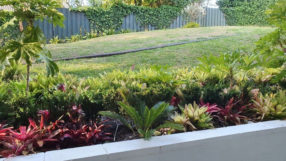 undefined Herne Bay Gem Near Beach - Carpark 2