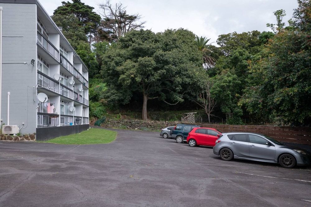 undefined Centrally Located Light-filled Studio w/ Parking 4