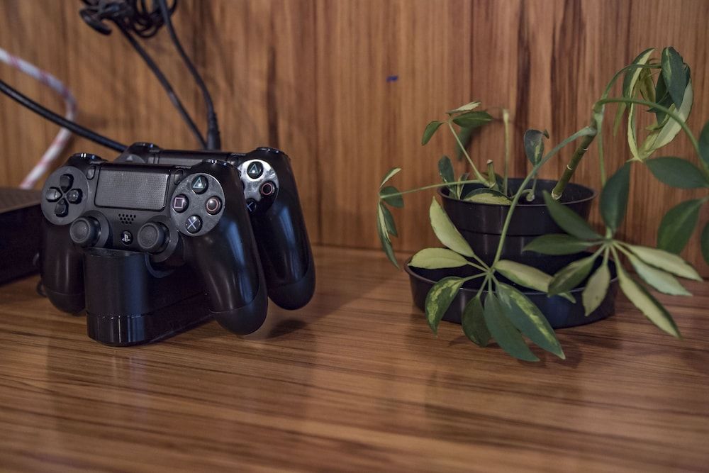 undefined Adventure Q2 Hostel 6