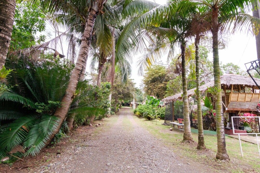 undefined RedDoorz @ Socrates Road Palawan 3