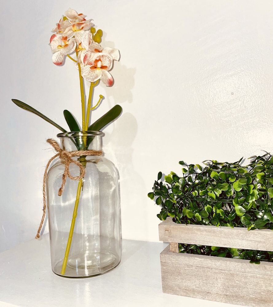 undefined Amancio's Balai 6