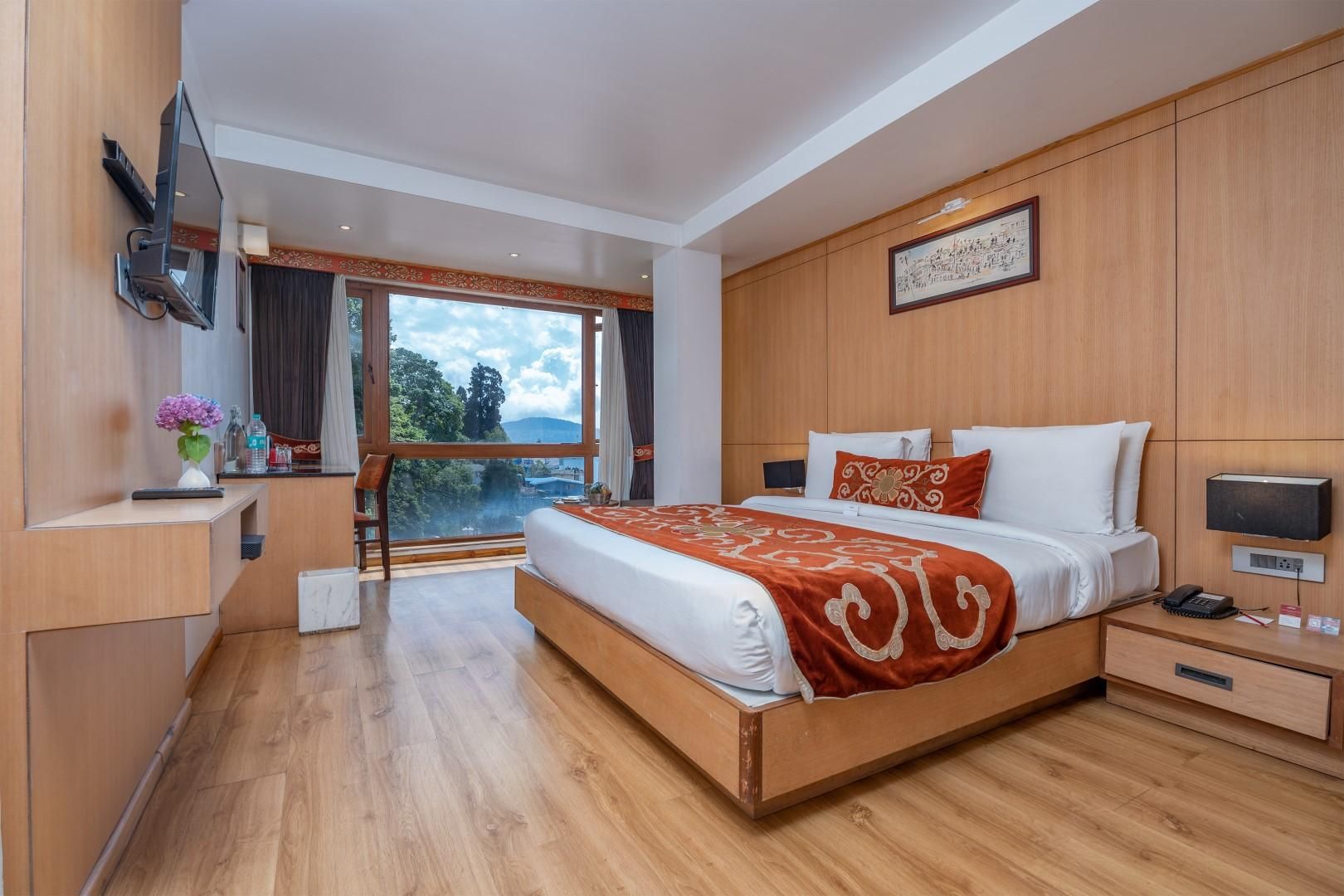 Premium Mountain View Room