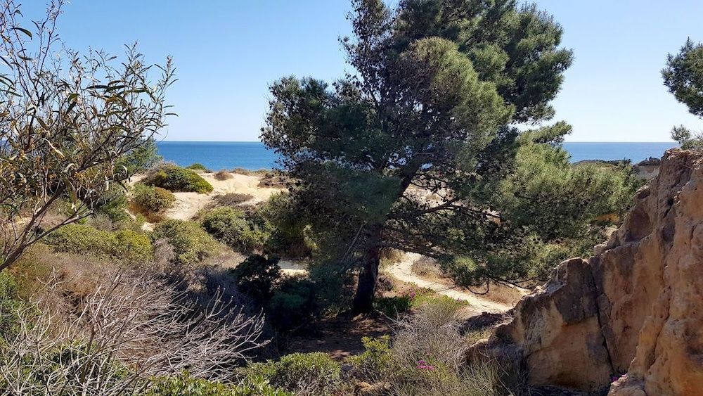 undefined Magnific Studio with a cozy garden 2